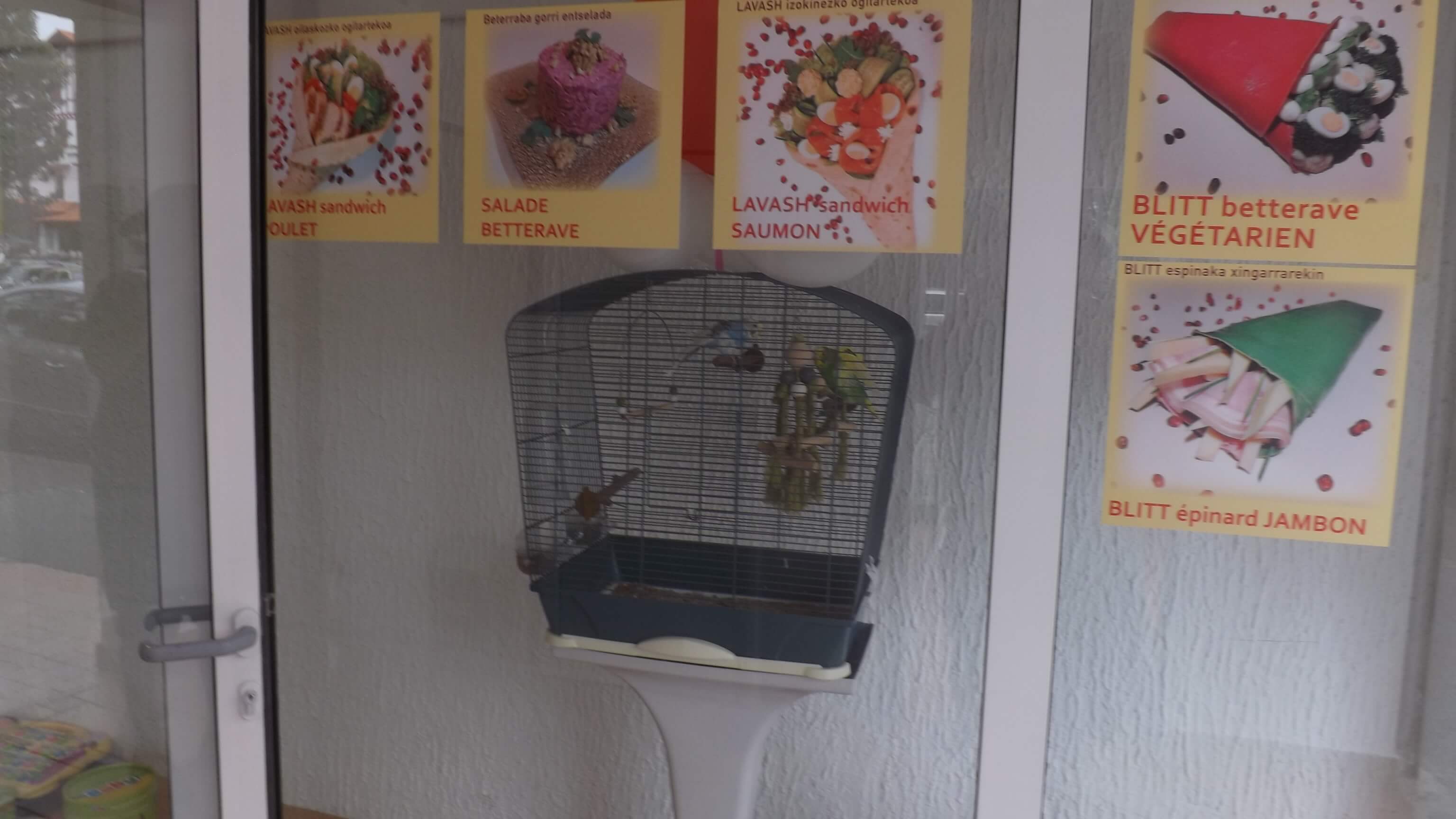 <br />
<b>Notice</b>:  Undefined variable: titre in <b>/var/www/vhosts/bidasoa-etorkinekin.org/httpdocs/views/granada.view.php</b> on line <b>26</b><br />
